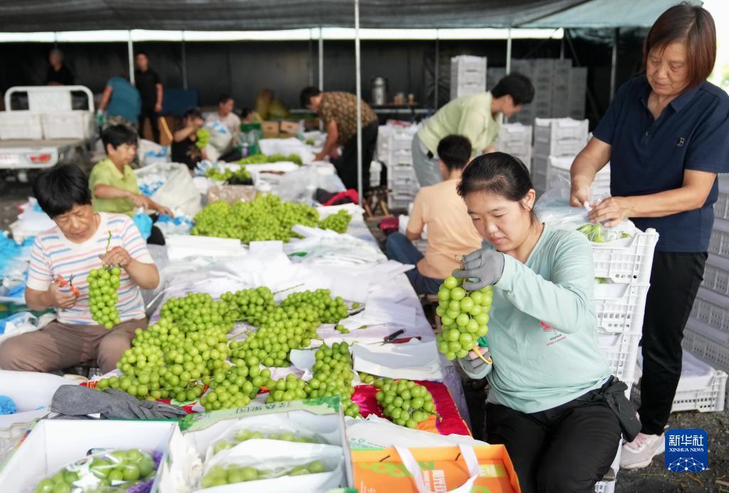 捕鱼大师无限金币